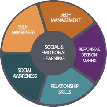 ProSolve - SEL Circle Image-2